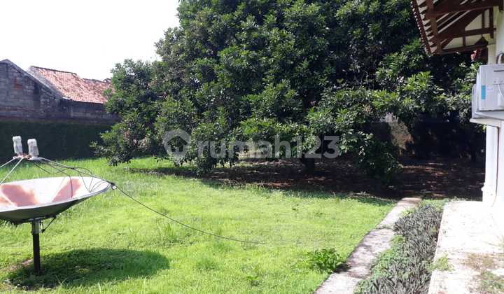 Land for Sale Cheap in Beji Depok Land for Sale Cheap in Beji Depok