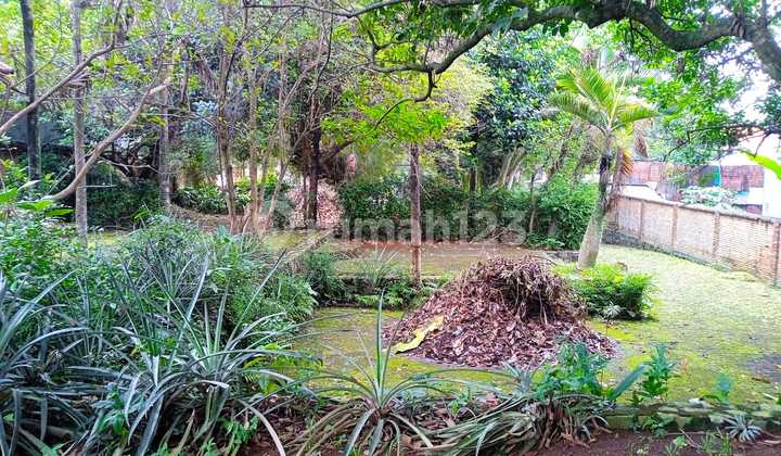 Jual Tanah Murah Dekat Pintu Tol Pamulang Pondok Cabe Tangerang Selatan