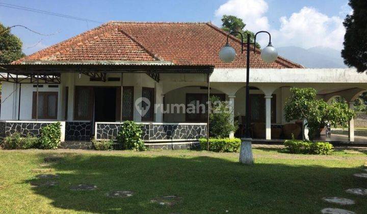 Dijual Villa Luas di Palasari Cipanas Jawa Barat 1