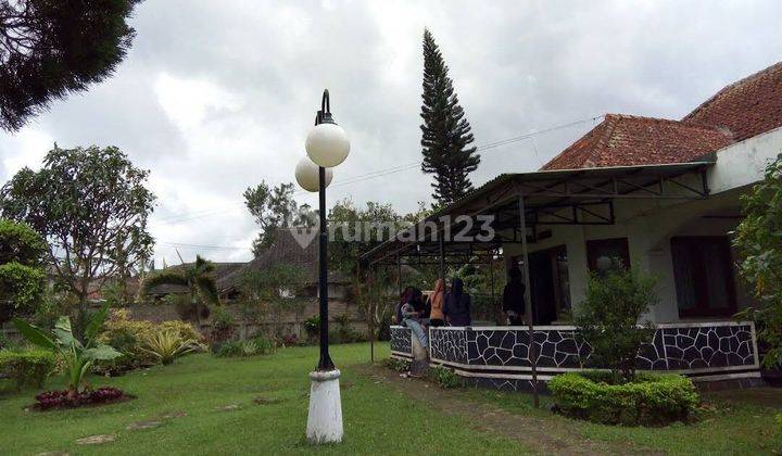 Dijual Villa Luas di Palasari Cipanas Jawa Barat 2