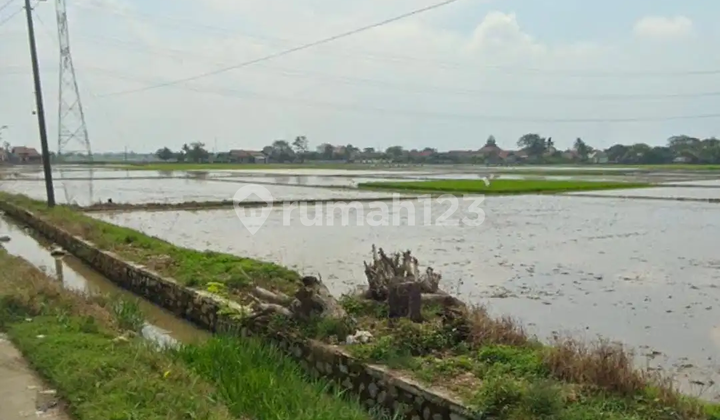 Di Jual Tanah Sawah Di Tambelang Bekasi