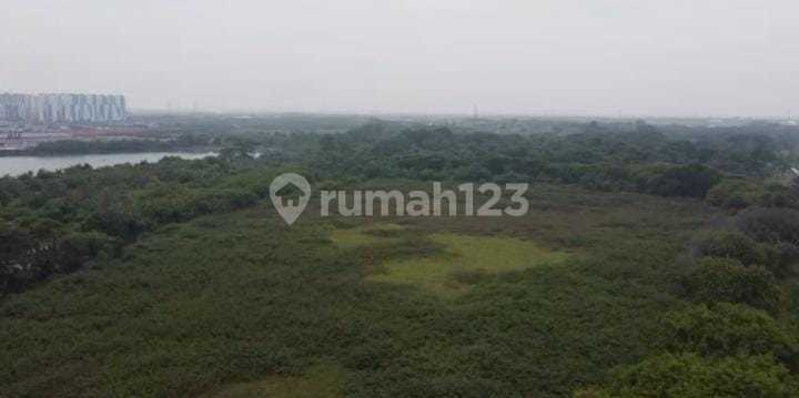 For Rent: Very Strategic Large Land in Rorotan, North Jakarta