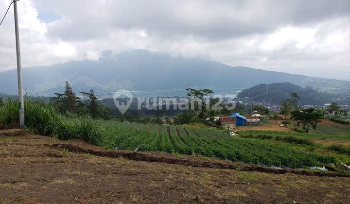 Land with SHM Certificate in Bedugul, Bali
