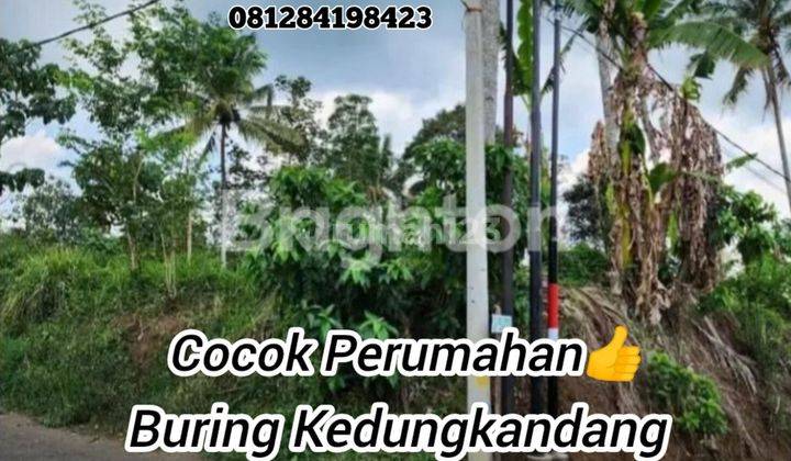 Tanah Murah Cocok Perumahan Pondok Buring Kedungkandang Malang 1