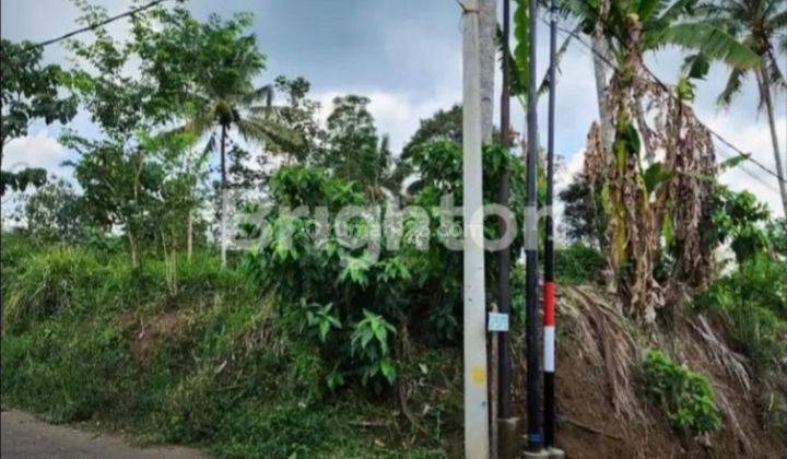 TANAH MURAH di KEDUNGKANDANG BURING MALANG BELAKANG GOR KEN AROK 1