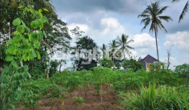 TANAH MURAH di KEDUNGKANDANG BURING MALANG BELAKANG GOR KEN AROK 2