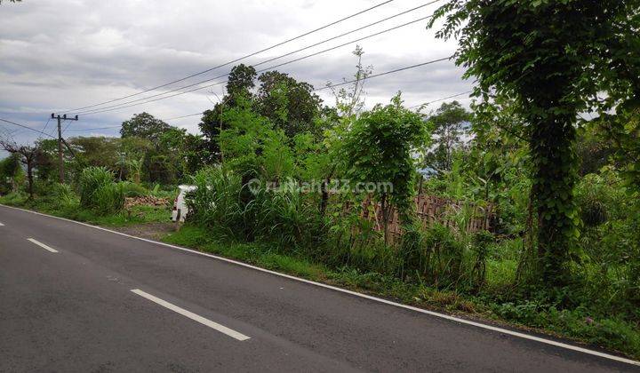 TANAH LUAS 4167M2 di RAYA TAMAN SAFARI PRIGEN PANDAAN JAWA TIMUR 2