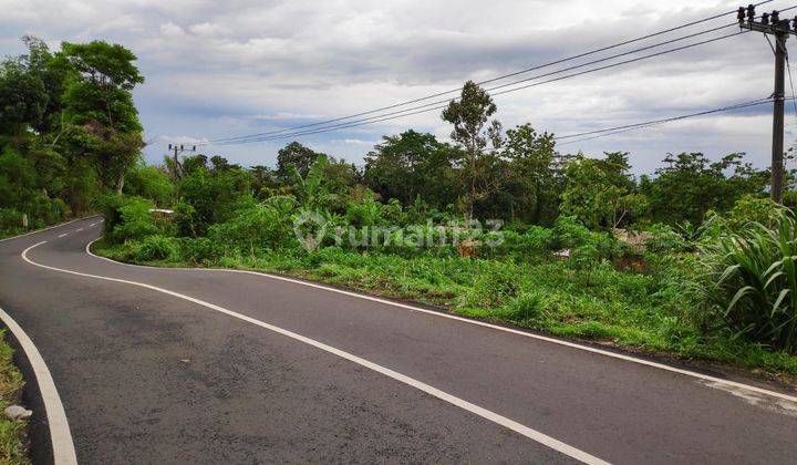 TANAH LUAS 4167M2 di RAYA TAMAN SAFARI PRIGEN PANDAAN JAWA TIMUR 2