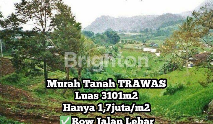 TANAH LUAS 3101M2 di DEKAT RAYA TRAWAS MOJOKERTO JAWA TIMUR 1