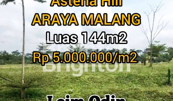 TANAH MURAH ARAYA MALANG ASTERIA HILL 1