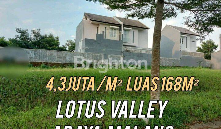 Tanah Murah 168m² Araya Malang Lotus Valley Dekat Binus 1