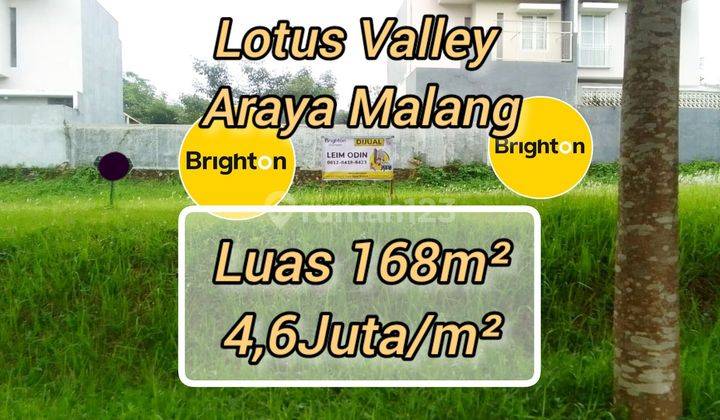 Tanah Murah 168m² Araya Malang Lotus Valley Dekat Binus 1