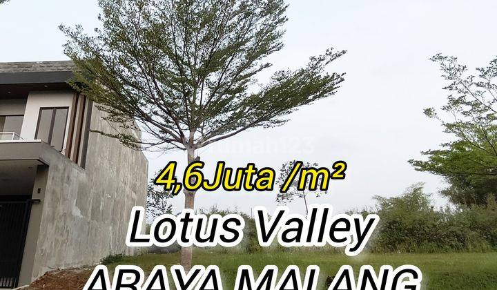 Tanah Murah Araya Malang Lotus Valley Luas 200m² Dekat Binus 1