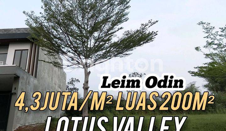 Tanah Murah Araya Malang Lotus Valley Luas 200m² Dekat Binus 1