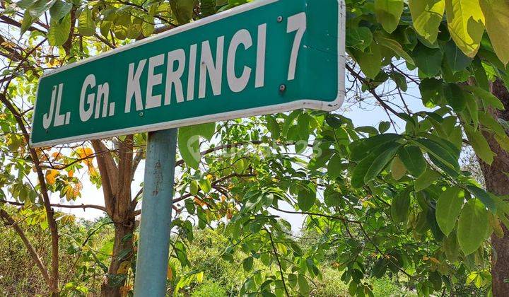 Kavling Tanah Cluster Di Jalan Gn. Kerinci Lippo Cikarang 2