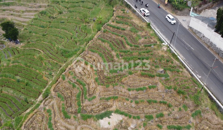 Land 2520 m2 Mojokerto, Mojokerto Certificate of Ownership