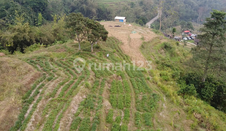 Tanah 1552 M2 SHM Mojokerto, Mojokerto