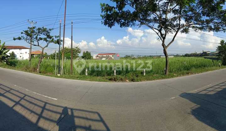 Tanah 6299 M2 SHM Pati, Pati