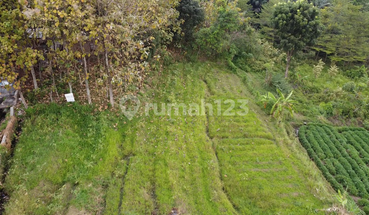 Land 3172 m² Mojokerto, Mojokerto