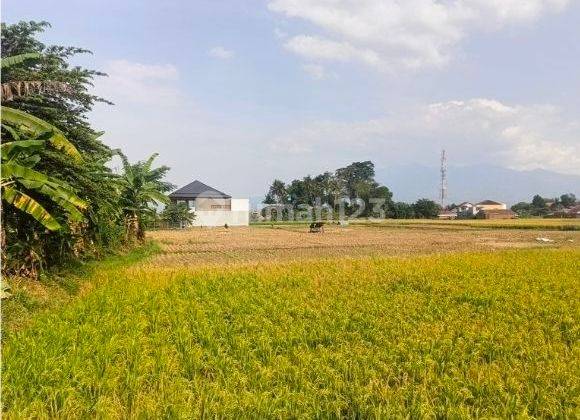 Tanah Main Road Soreang 1,5 hectare 2