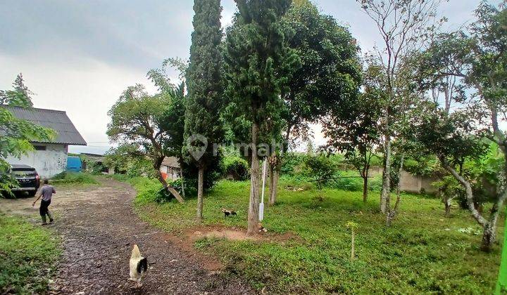 Jual Cepat Tanah Padalarang Dekat Statiun Kereta Cepat Di Padalarang, Di Bandung, 1