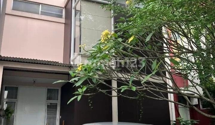 Best Price. Modern Home The Icon Cosmo, BSD