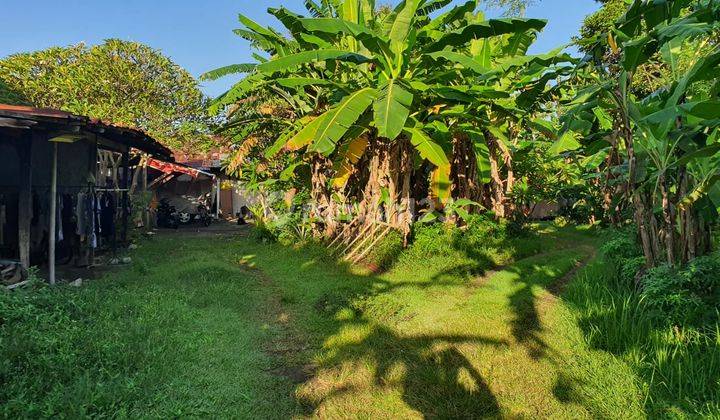 Tanah Murah Cocok Untuk Dibangun Kompleks Vila di Sanur  3