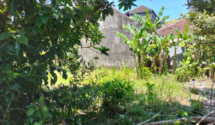 Tanah Strategis di Ungasan Dekat Bukit Sunrise School 5