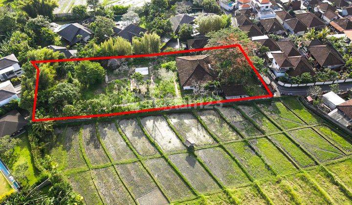 Jarang Ada Tanah View Sawah di Kuwum, Umalas Kerobokan 2