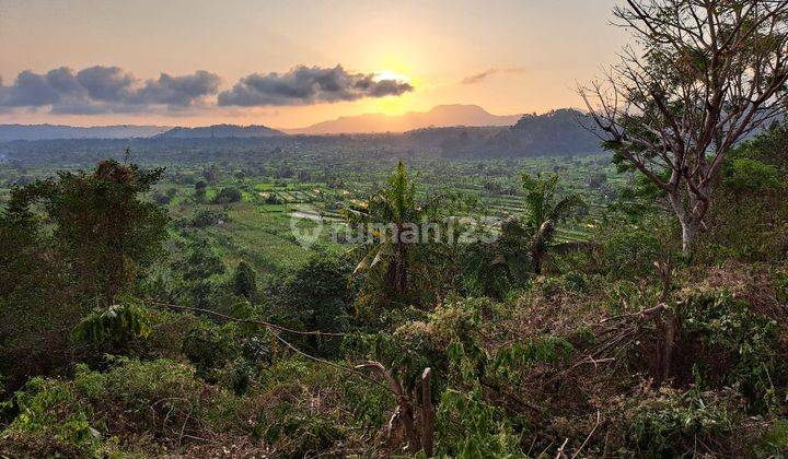 Tanah Murah Karangasem Dekat Tirta Gangga View Sunset Dan Sawah 1