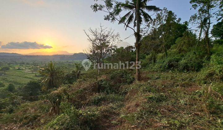 Tanah Murah Karangasem Dekat Tirta Gangga View Sunset Dan Sawah 2