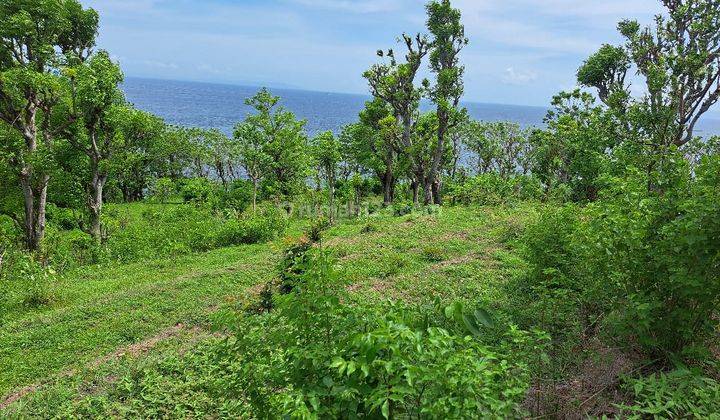 Tanah Cliff Front Ukuran Kecil di Seraya, Karangasem Dekat Amed 2