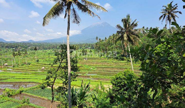 Land for rent with rice field views in Ababi, Karangasem near Tirta Gangga  1