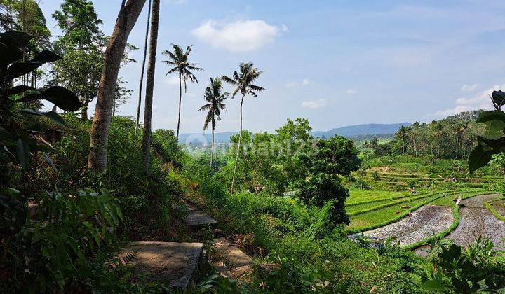 Land for rent with rice field views in Ababi, Karangasem near Tirta Gangga  2