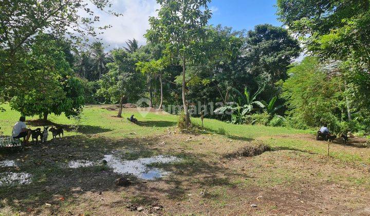 Tanah View Sawah Tepi Sungai Kecil di Lodtunduh, Ubud, Gianyar 2