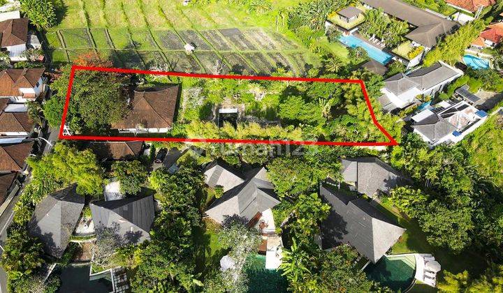 Lebar Depan 30 Meter. Tanah View Sawah di Umalas Dekat Seminyak 2