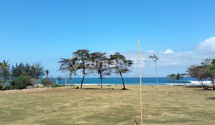 Tanah MURAH di Kawasan Pariwisata Pantai Pering - Saba, Gianyar 