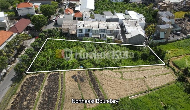 Tanah Strategis di Jalan Raya Tumbak Bayuh, Canggu - Pererenan Tanah Strategis di Jalan Raya Tumbak Bayuh, Canggu - Pererenan
