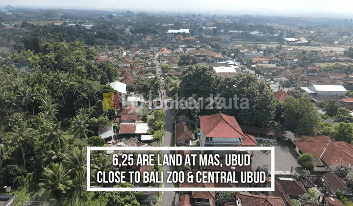 Land in Mas Near The Garcia Ubud, Gianyar 1