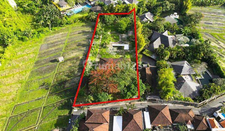 Lebar Depan 30 Meter. Tanah View Sawah di Umalas Dekat Seminyak 1