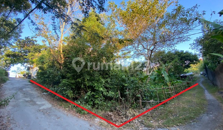 Hidden Gem! CHEAP Land in Jimbaran Hill Near GWK