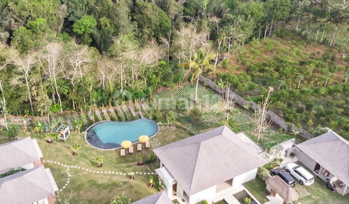 Vila Luas Di Payangan, Gianyar Dekat Ubud dan Kintamani Vila Luas Di Payangan, Gianyar Dekat Ubud dan Kintamani