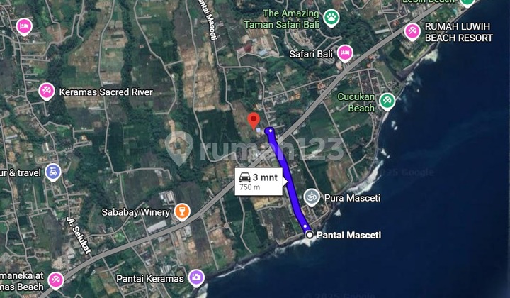 Cheap Land Near Sanur! Walking Distance to Masceti Beach