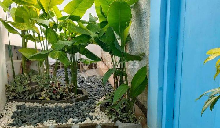 Rumah Baru 3 Kamar Furnished Siap Huni di Taman Mumbul, Nusa Dua 2