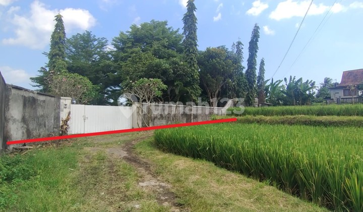 Cheap Land Near Sanur! Walking Distance to Masceti Beach