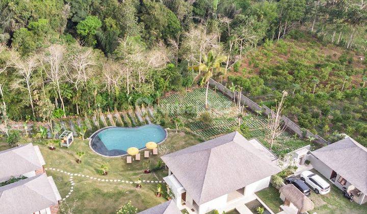 Vila Komersil, Kebun Luas di Payangan Dekat Ubud Dan Kintamani 1