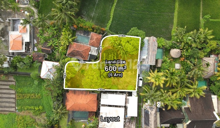 Tanah View Sawah Abadi di Central Ubud Dekat Blanco Tanah View Sawah Abadi di Central Ubud Dekat Blanco