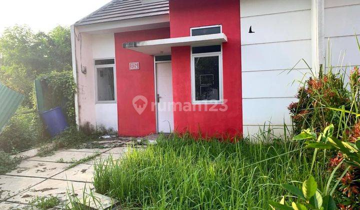 Rumah 1 Lantai Dekat Kaswan Kantor Pemda Tigaraksa Tangerang 1