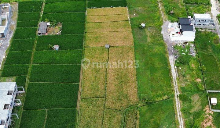 Jual Tanah Premium Umalas Kerobokan Hanya 100 Meter Dari Jalan Raya Utama di Jl. Bumbak, Kerobokan Kelod, Kec. Kuta Utara, Kabupaten Badung, Bali, Umalas Tanah SHM 2