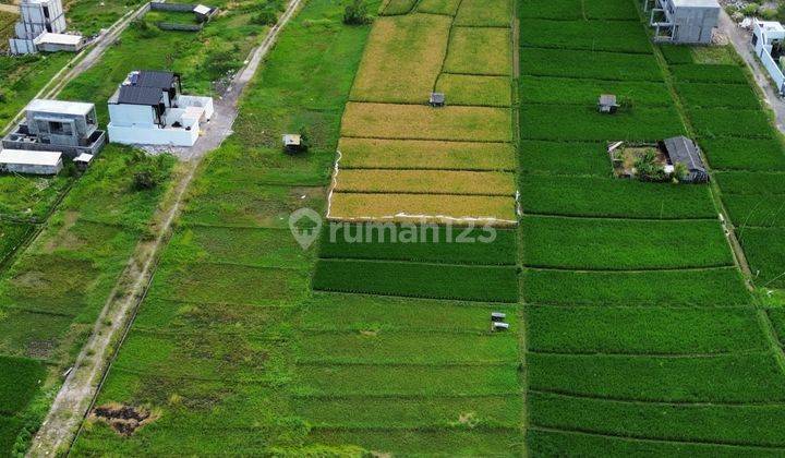 Jual Tanah Premium Umalas Kerobokan Hanya 100 Meter Dari Jalan Raya Utama di Jl. Bumbak, Kerobokan Kelod, Kec. Kuta Utara, Kabupaten Badung, Bali, Umalas Tanah SHM 1